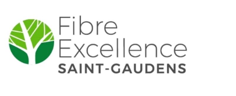 Fibre Excellence